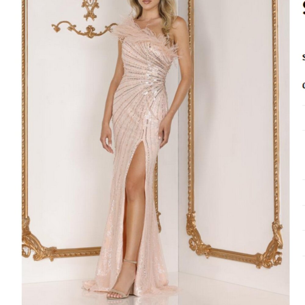 TERANI COUTURE- 2215GL0106 BLUSH Feathered One-Shoulder Gown